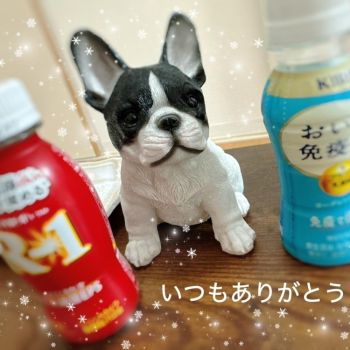 【大寒波到来⛄️】