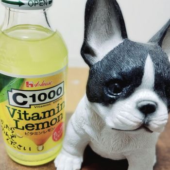 ―今宵は🌕️丸―【始】